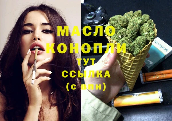 ECSTASY Няндома