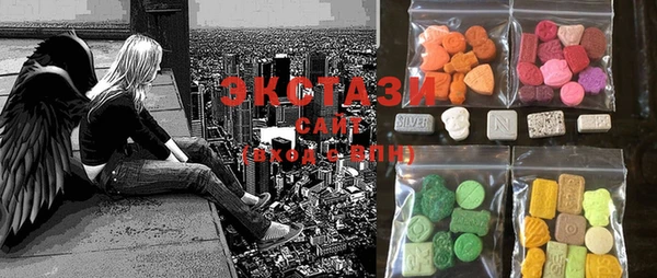 ECSTASY Няндома