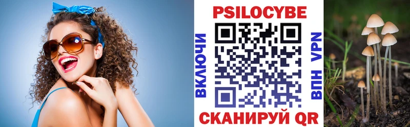 Галлюциногенные грибы Psilocybe  Купить закладки  Кызыл 